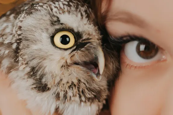 Efbet Casino サポート